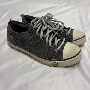 UGG Evera Grey Wool Sheepskin Lined Lace Up Sneakers Converse Style Cap Toe Shoe